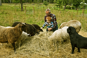 In the sheep pasture