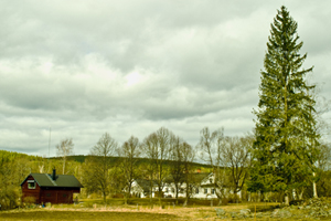 Vår i parken